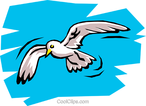 Seagull Royalty Free Vector Clip Art Illustration - Gabbiano Jonathan Livingston Scuola Primaria (480x349)
