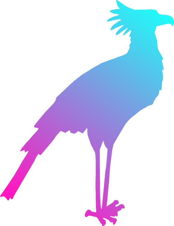 Bird Gulls Silhouette Drawing Art - Secretary Bird Silhouette (578x749)