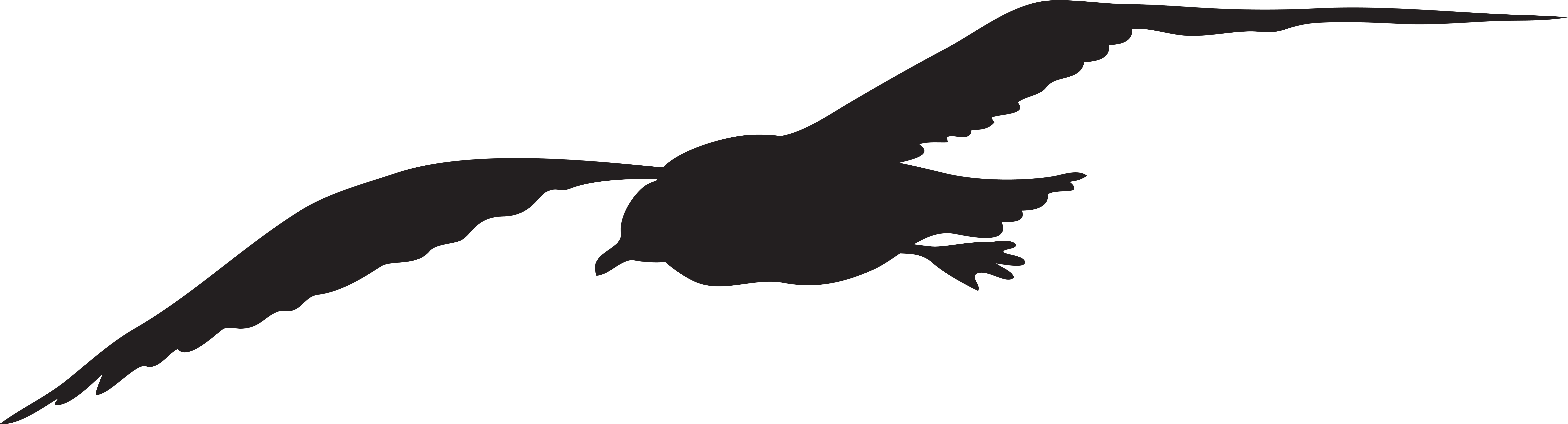 Jpg Black And White Library Seagull Clipart Black And - Seagull Silhouette Clip Art (8000x2236)