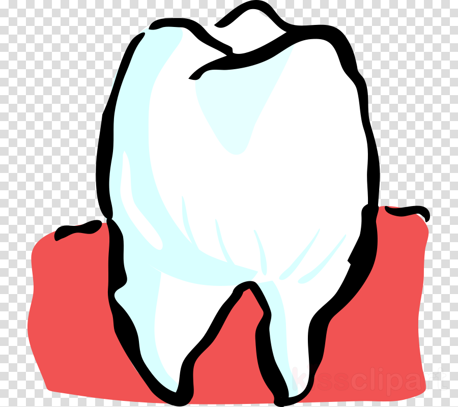 Teeth Clipart Human Tooth Dentistry - Clip Art (900x800)