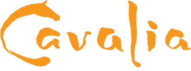 Cavalia Odysseo Nashville Tn (730x285)