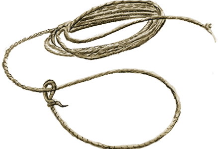 Svg Stock Download Wallpaper Full Wallpapers - Lasso Rope Png (450x300)