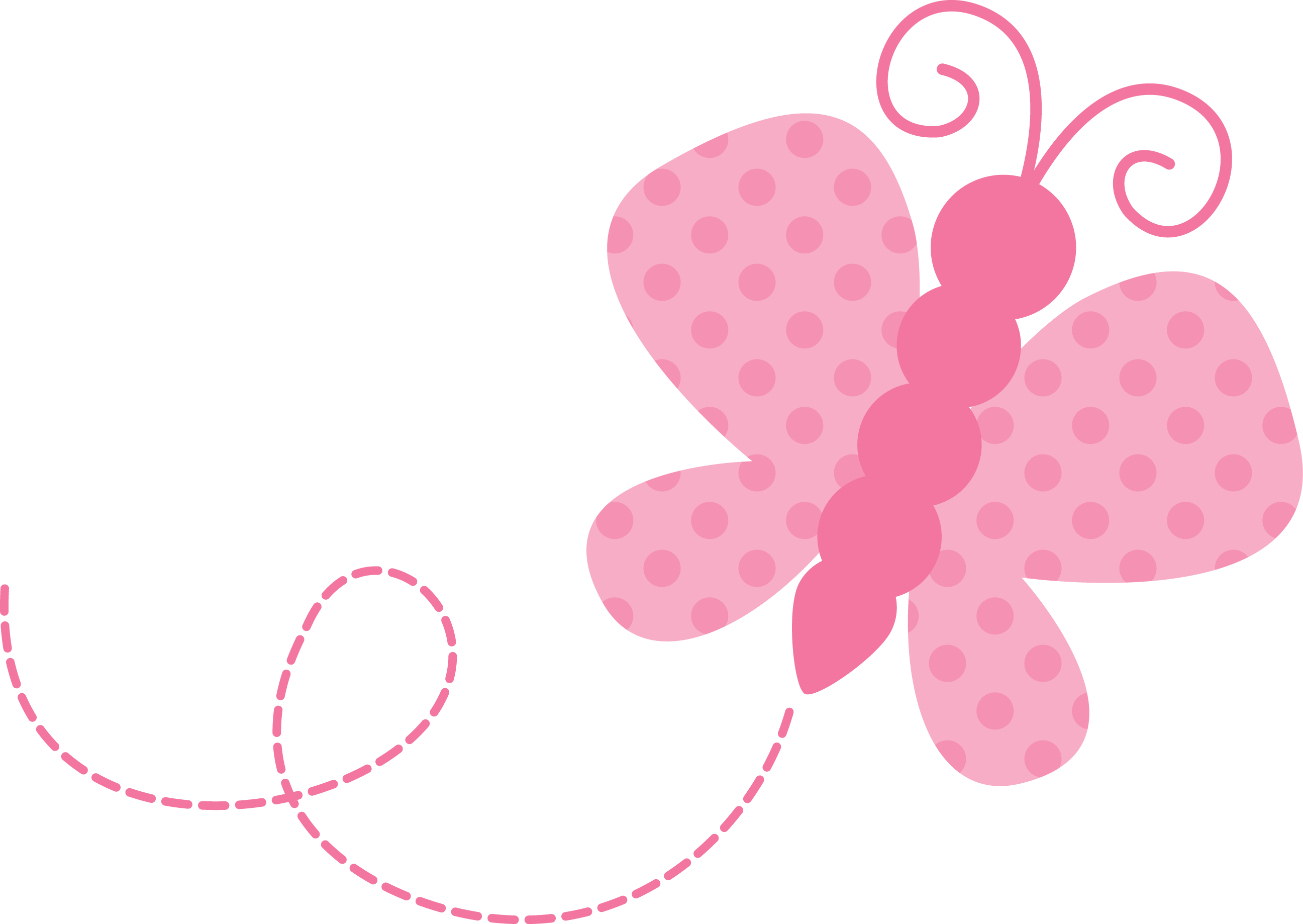 Clip Royalty Free Photo By Daniellemoraesfalcao Minus - Insect (2593x1838)