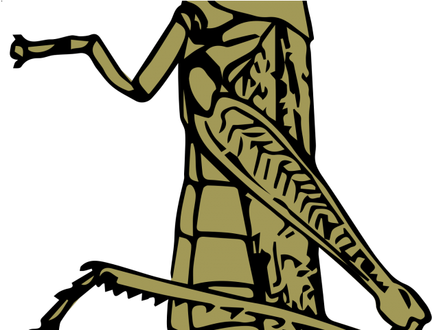 Grasshopper Clipart Line - Grasshopper Clipart Black And White (640x480)