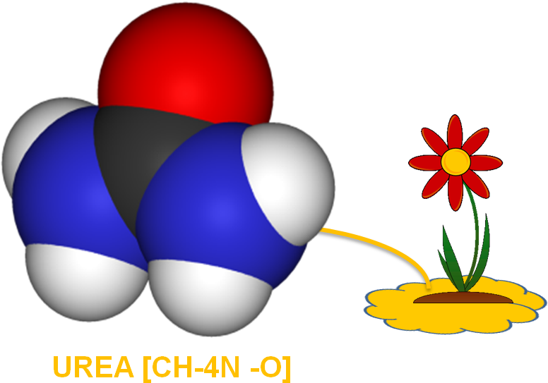 Clip Art Transparent Hypothesis Clipart Procedure - Nitrogen (851x575)