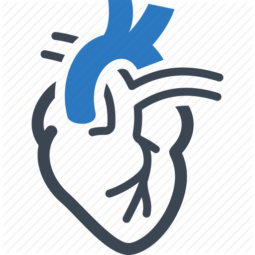 Drawing Vector - Cardiology Icon (512x512)
