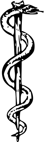 Cardiology Consultation - Cardiology Consultation (300x480)