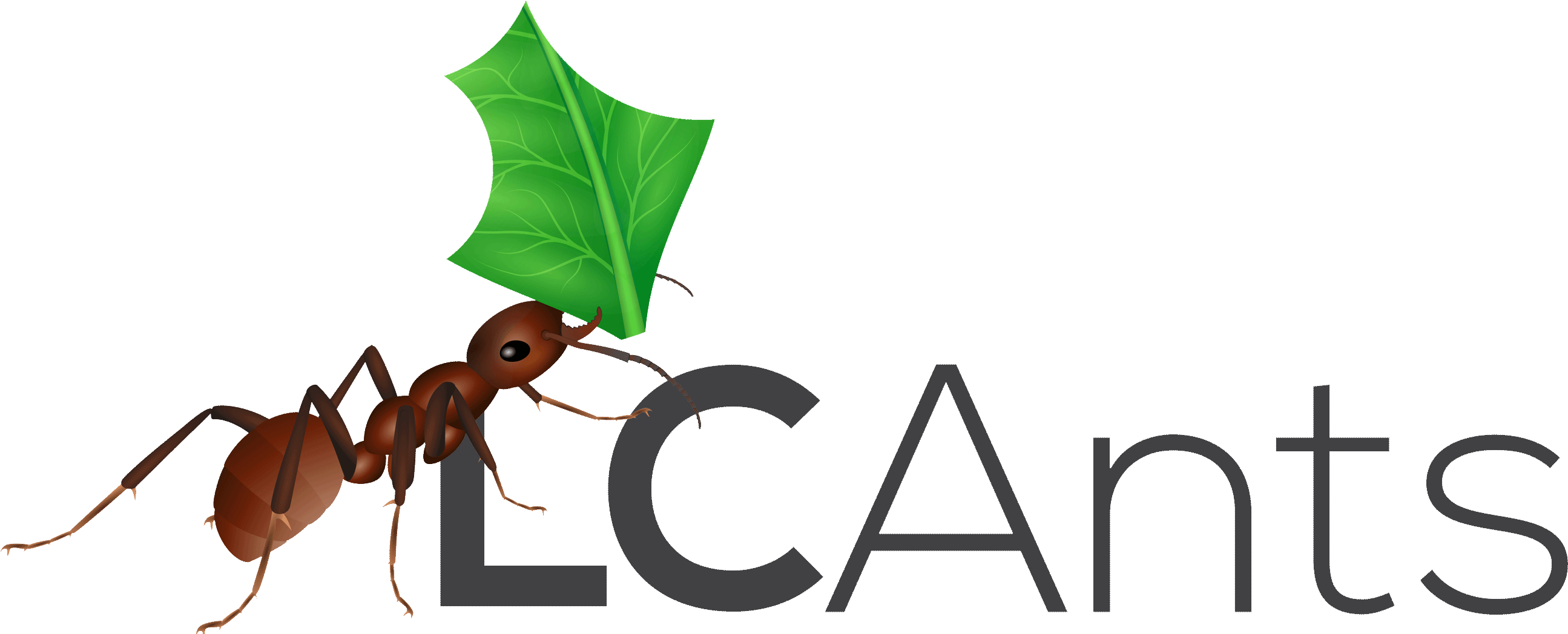 Ant Clipart Ant Farm - Ant Clipart Ant Farm (2603x1057)