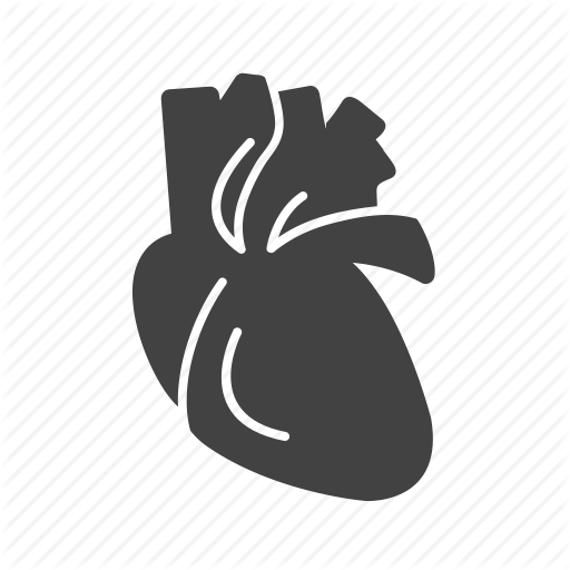 Cardiac Vector Heart Organ Jpg Royalty Free Stock - Human Heart Png Icon (512x512)