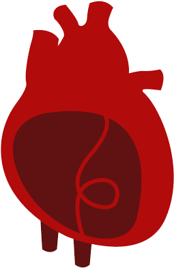 So, Why Wait And What For Contact Now - Heart Freepik (292x450)