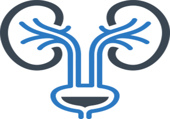 About - Urinary Tract Infection Icon (570x400)