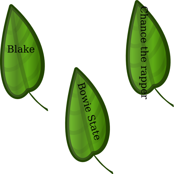 Leaves Now And Then - Portable Network Graphics (600x597)