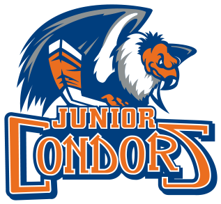 Junior Condors Take Flight In 2016-17 - Junior Condors Take Flight In 2016-17 (360x360)