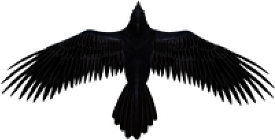 Download Raven Free Png Photo Images And Clipart - Clip Art Raven Png (400x400)