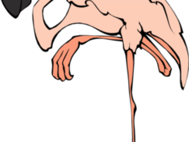 Flamingo Clipart Flying - Flamingo Clip Art (640x480)