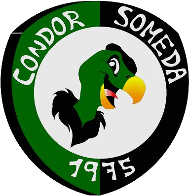 Logocondorsomeda - Dronacharya Boxing Club Faridabad (397x397)