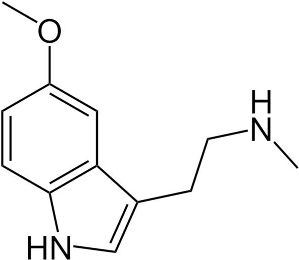 5 - Lsd Chemical Formula Tattoo (600x523)