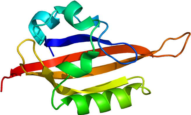 Dna Clipart Genetic Mutation - Epas1 Gene Tibetan (704x443)