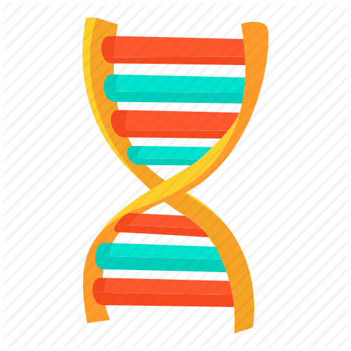 Dna Molecule Png Clip Art Transparent Stock - Dna Molecule Png Clip Art Transparent Stock (512x512)