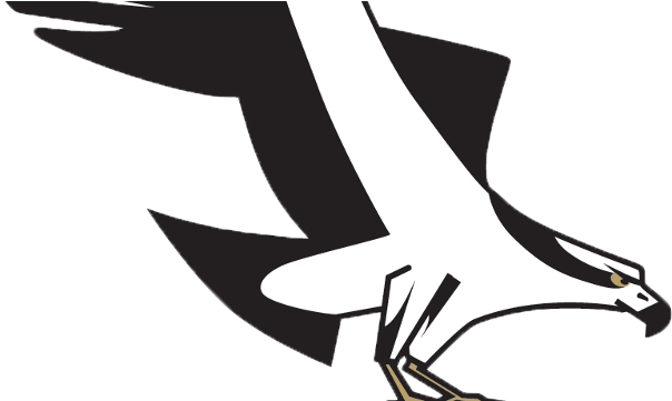 Osprey And Voyagers Postponed Saturday Due To Rain - Missoula Osprey Logo (640x360)