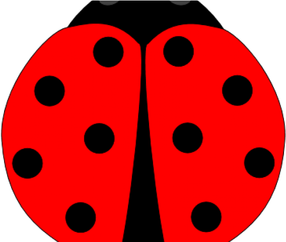 Ladybug Clipart Red Ladybug - Imagenes De Catarina Ladybug (640x480)