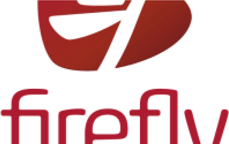 The Charter School East Dulwich Firely Training - Firefly Learning (1050x600)