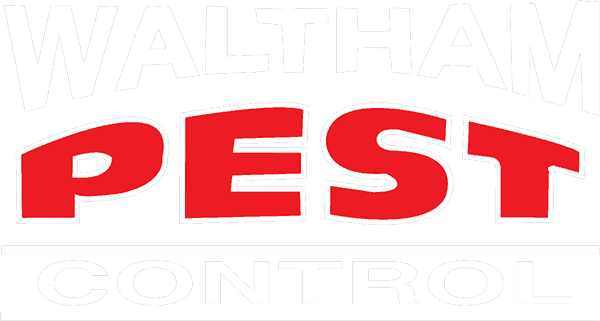 Service Area - Service Area (600x321)