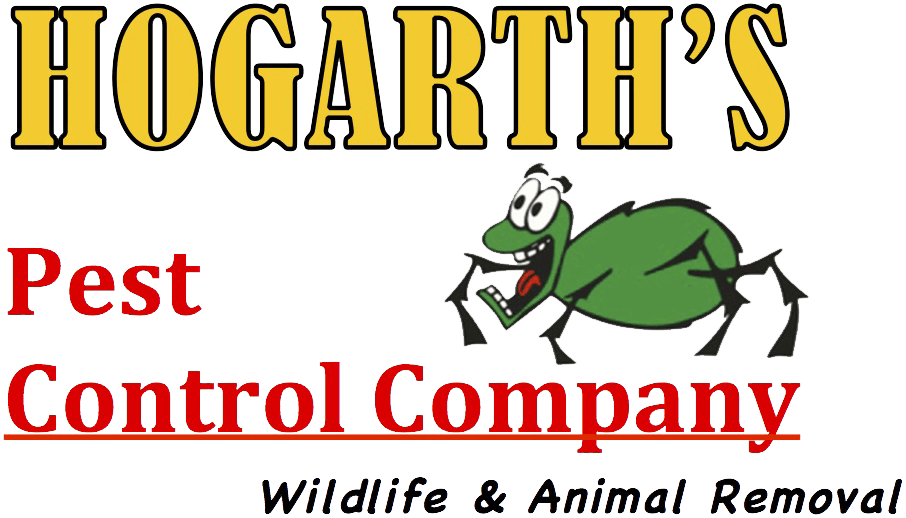 Hogarths Pest Control - Best Son Ever. Throw Blanket (906x518)