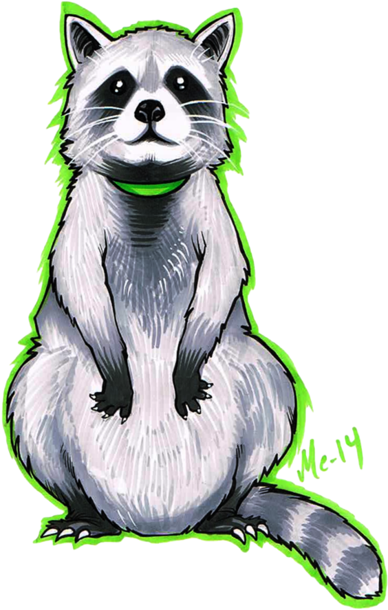 Drawing Raccoon Clipart Download - Deviantart Raccoons (750x1066)
