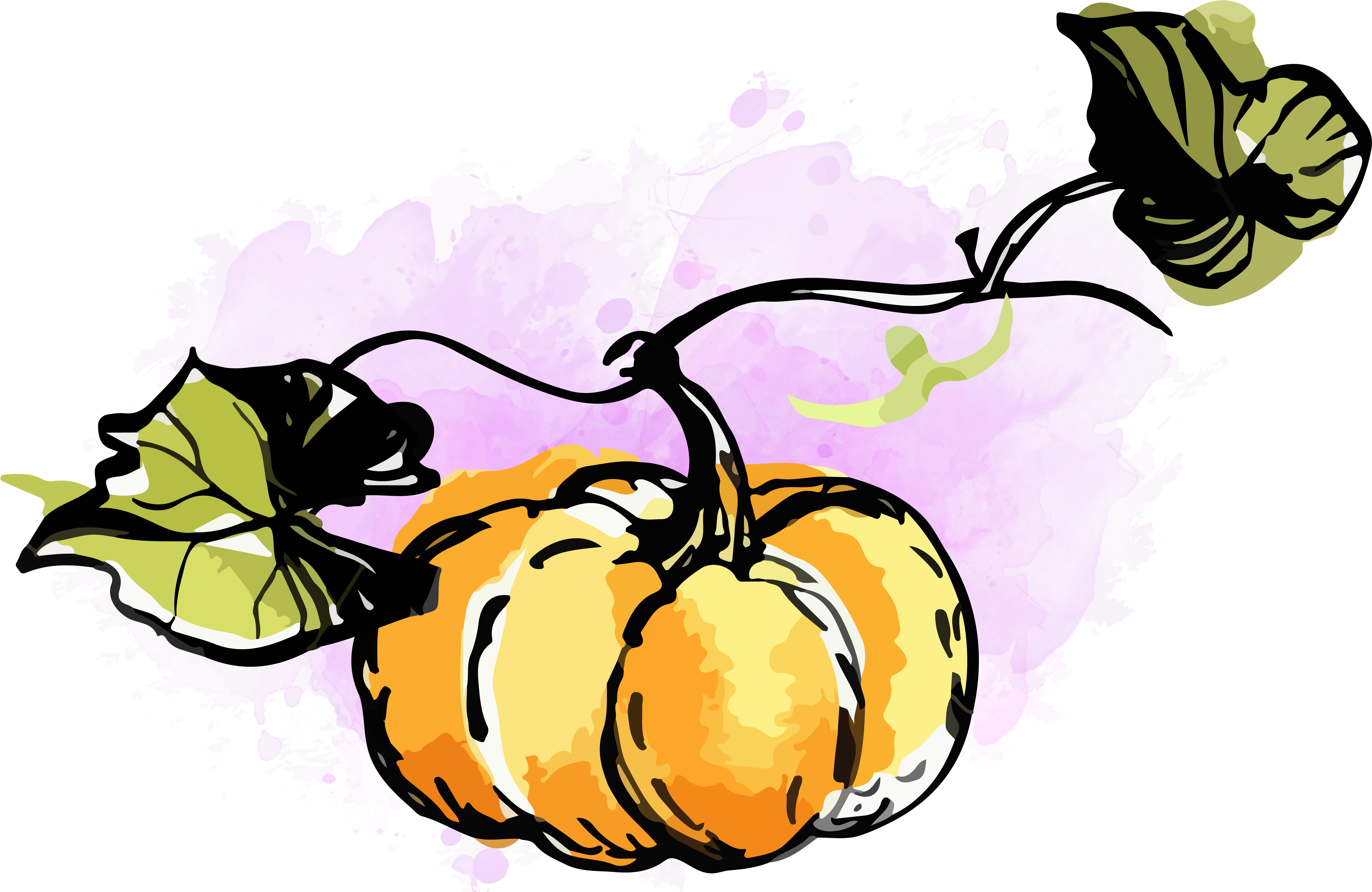 Watercolor Pumpkin Clipart - Clipart Pumpkin Png Watercolor (6667x3750)