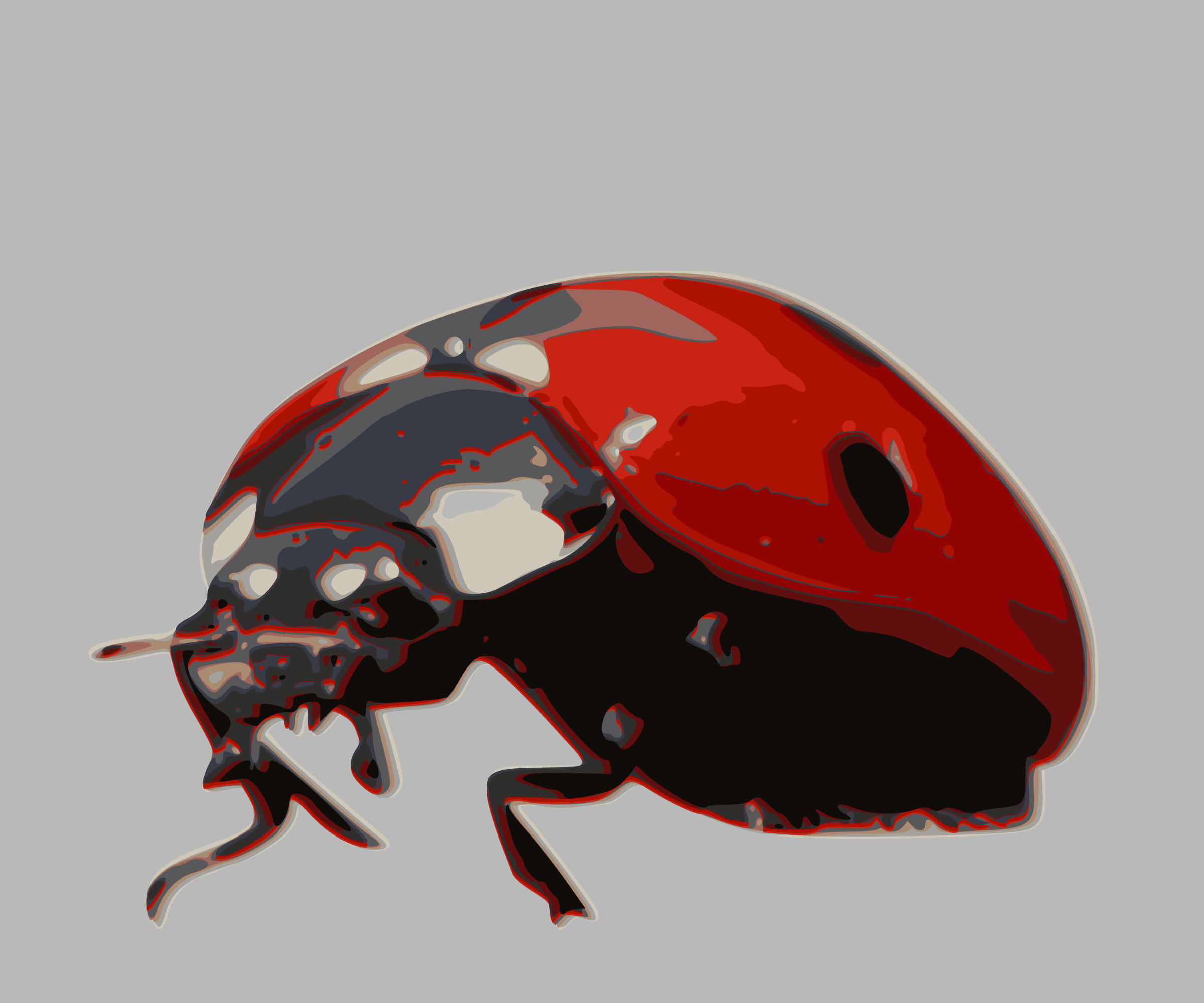 Insect Clipart Scarab Beetle - Invertebrates Ladybug (2400x2000)