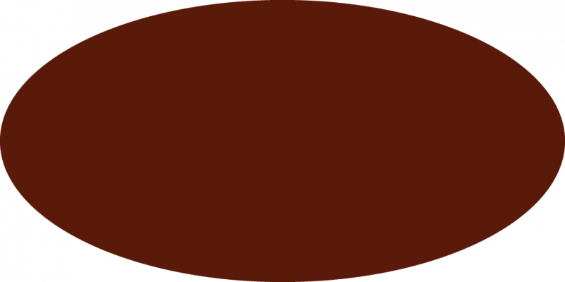 The Scoop On Coprolite Dung Feces Poo - Circle (800x400)