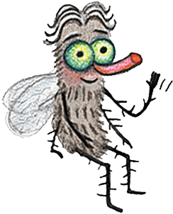 Jonathan, A Dung Fly Who Dislikes Dirt - Illustration (375x448)