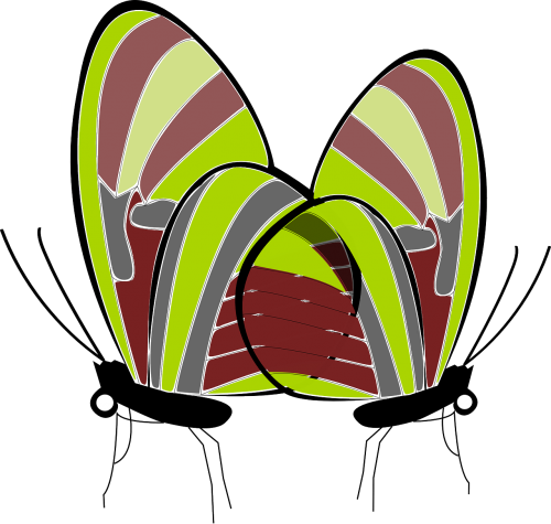 Monarch Butterfly Butterflies & Insects Brush-footed - Monarch Butterfly (500x475)