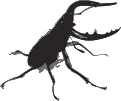 Weevil Stag Beetle Rhinoceros Beetles Lucanus Ibericus - Stag Beetle Png (406x340)