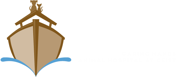 Noah's Central 24 Hour Animal Hospital Competitors, - Animal (612x276)