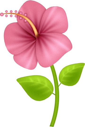 0 1620fc E16c591b Orig - Hibiscus (361x536)