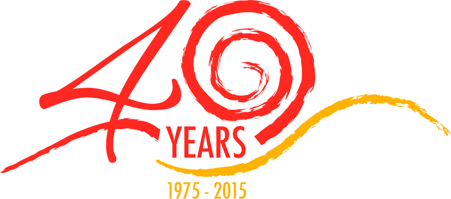 History - Wealth Distribution In America 2011 (900x397)