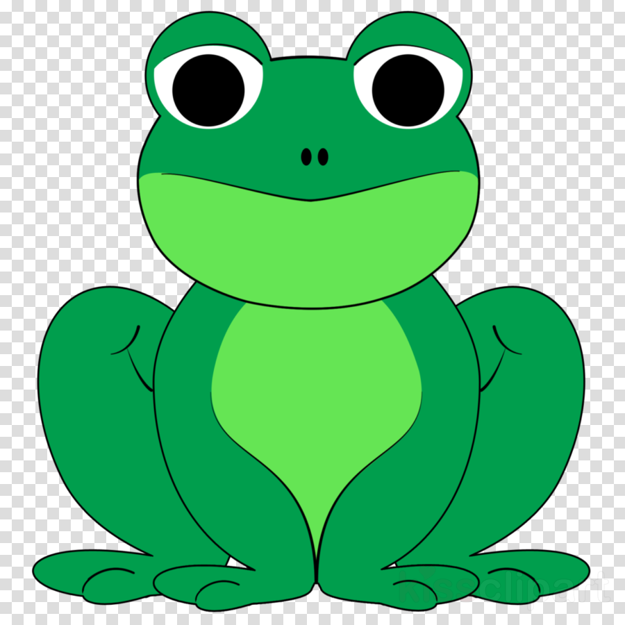 Frog Png Clipart Frog Clip Art - Transparent Background Clipart Frog (900x900)