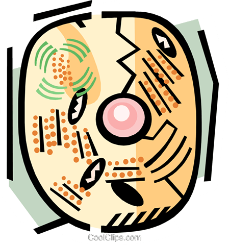 Cell Royalty Free Vector Clip Art Illustration - Living Things Have An Orderly Structure (449x480)