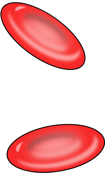 Arrow Clip Art (360x593)