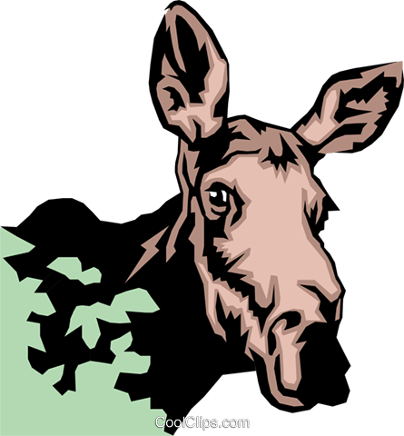 More Free Moose Png Images - Illustration (445x480)