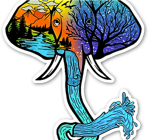 Psychedelic Clipart Fish - Adult Activity Book Amazing Animals: Coloring And Puzzle (640x480)