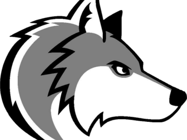Volleyball Clipart Wolf - Clip Art (640x480)