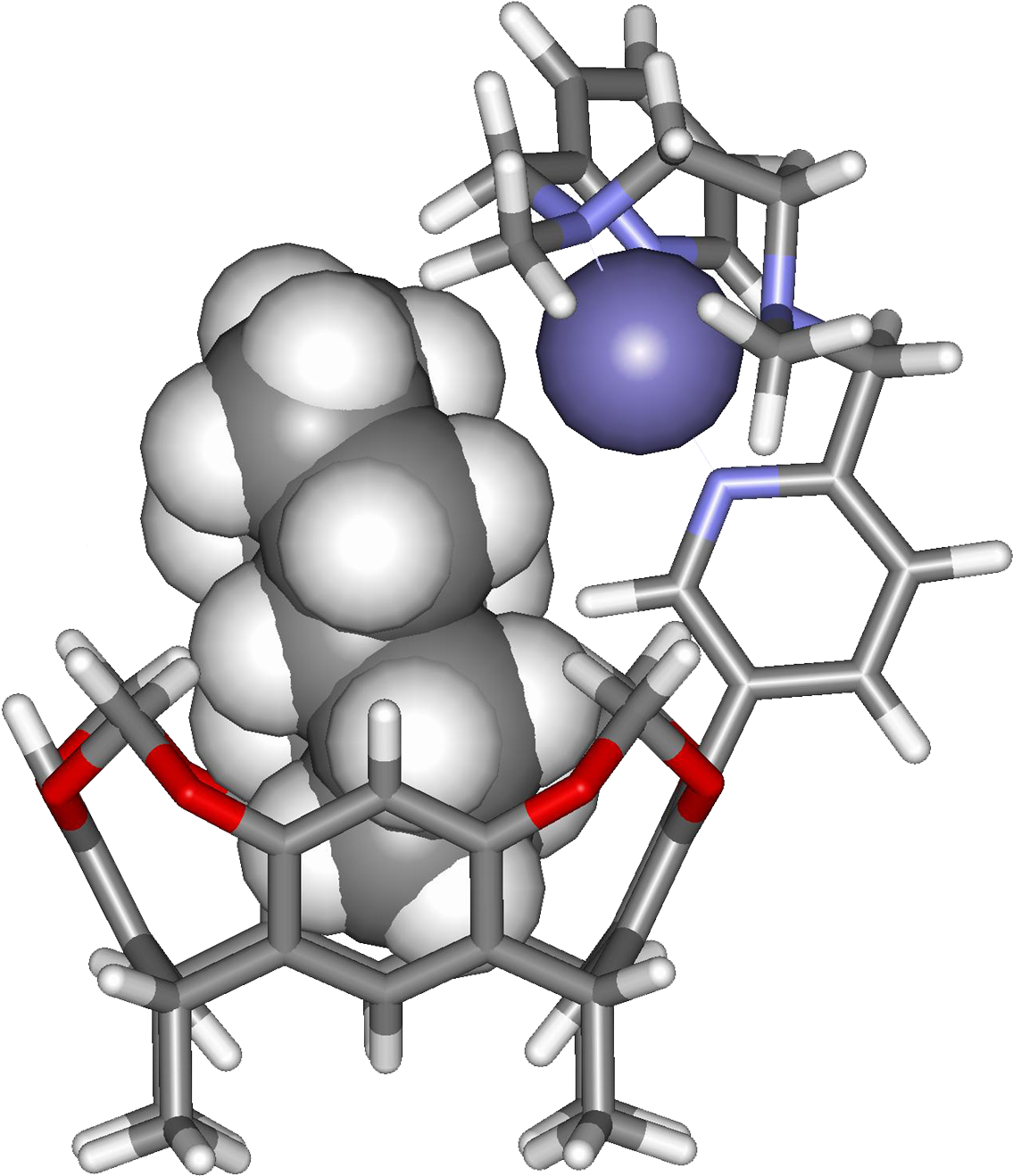 Enzymes Provide A Hydrophobic Pocket For The Binding - Enzymes Provide A Hydrophobic Pocket For The Binding (1212x1380)