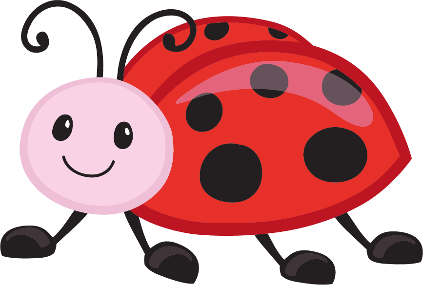 You Are Here - Ladybird Beetle (867x585)