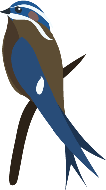 A Small Family Consisting Of One Genus And Four Species, - Swallow (400x400)