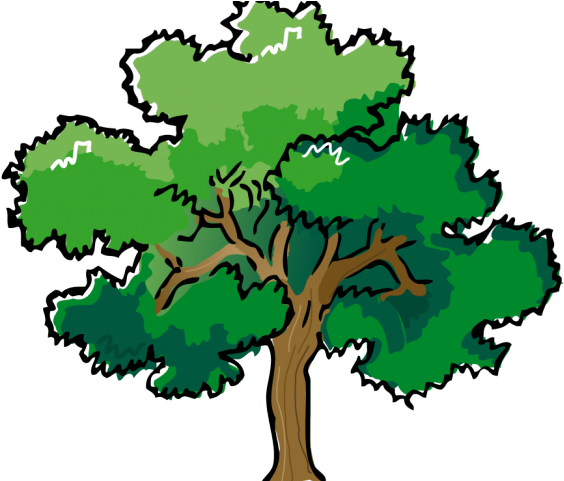 Mango Clipart Summer - Oak Tree (640x480)