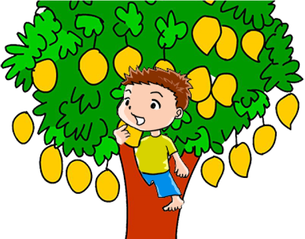 Royalty Free Download Small Free On Dumielauxepices - Sketch Of Mango Trees (640x480)