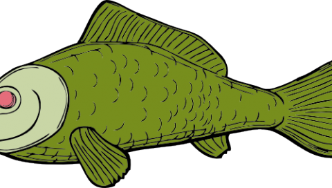 Png Library Free On Dumielauxepices Net - Dead Fish Clip Art (480x272)